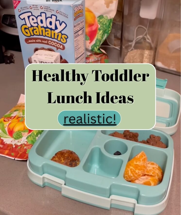 Healthy Toddler School Lunch Ideas (Week-by-Week Real Meals)